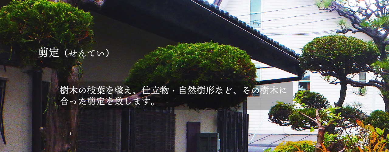 樹木の枝葉を整え、仕立物・自然樹形など、その樹木に合った剪定を致します。