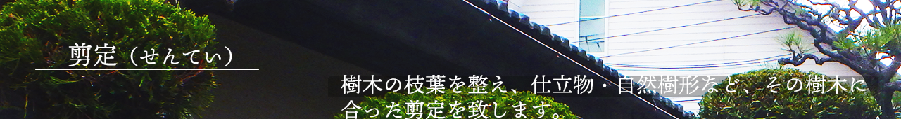 樹木の枝葉を整え、仕立物・自然樹形など、その樹木に合った剪定を致します。